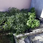 Semesterbostad Casa Di Ica *