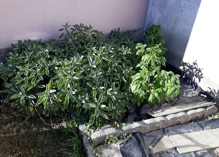 Tatil Evi Casa Di Ica *